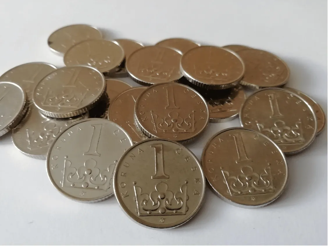 RPSN - vše, co potřebujete vědět